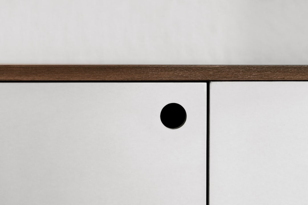 Zenzynwood minimalist oturma odası mobilyaları